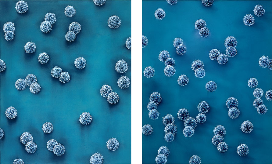 Foto der Arbeit »Succession«, 2002, Öl/Leinwand, je 50&nbsp;cm&nbsp;×&nbsp;40&nbsp;cm