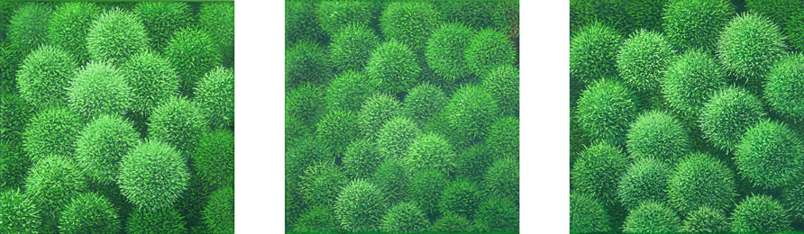 Foto der Arbeit »Châtaignes«, 2004, Öl/Leinwand, je&nbsp;21&nbsp;cm&nbsp;×&nbsp;21&nbsp;cm