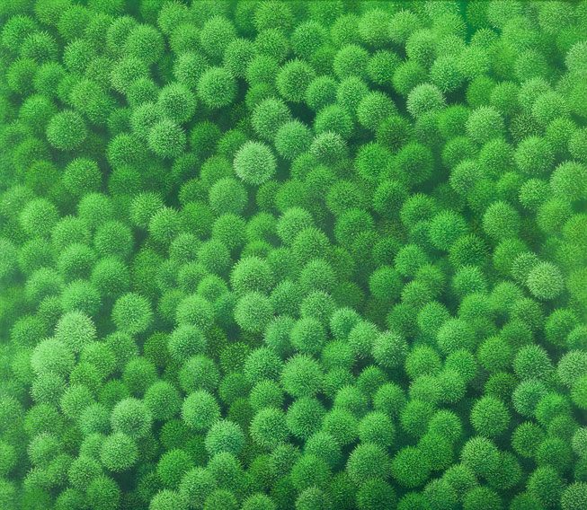 Foto der Arbeit »Châtaignes«, 2004, Öl/Leinwand, 75&nbsp;cm&nbsp;×&nbsp;85&nbsp;cm